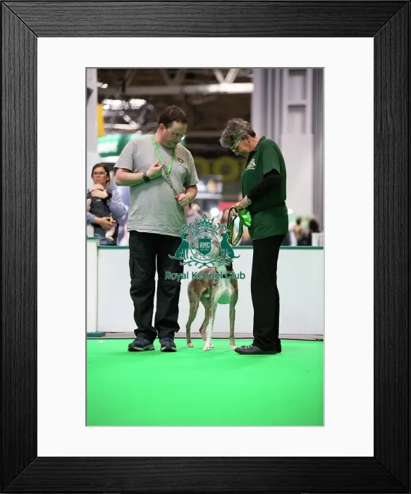 Framed Print : Have A Go Rally