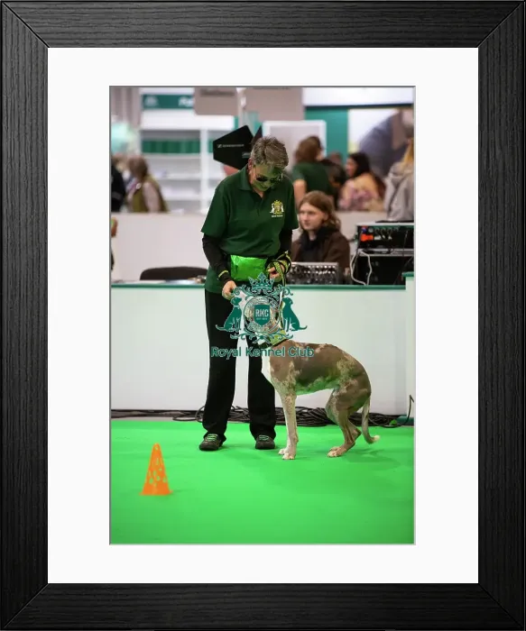 Framed Print : Have A Go Rally Framed Print : Have A Go Rally