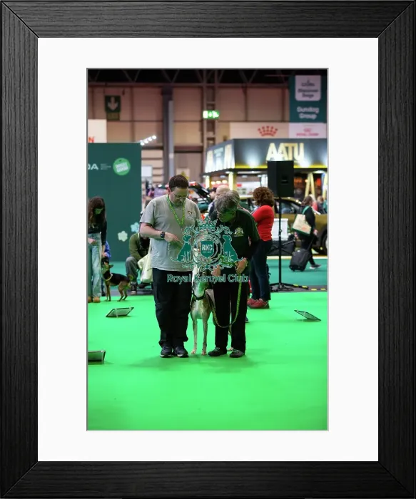 Framed Print : Have A Go Rally Framed Print : Have A Go Rally