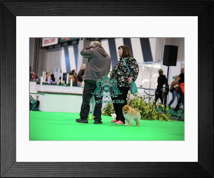 Framed Print : Have A Go Rally