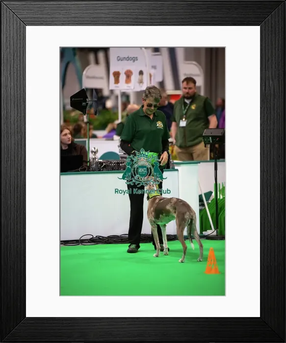 Framed Print : Have A Go Rally Framed Print : Have A Go Rally