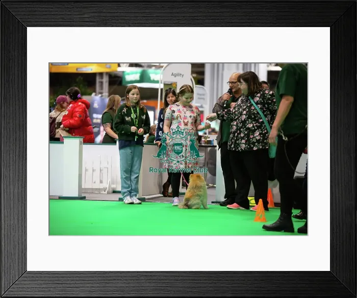 Framed Print : Have A Go Rally