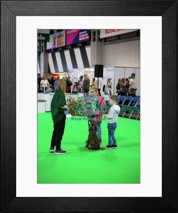 Framed Print : Have A Go Rally Framed Print : Have A Go Rally