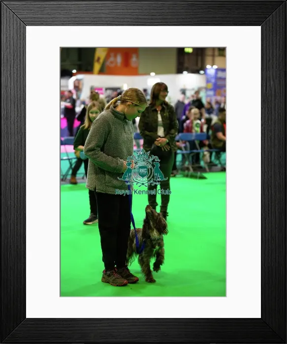 Framed Print : Have A Go Rally Framed Print : Have A Go Rally