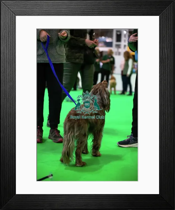 Framed Print : Have A Go Rally Framed Print : Have A Go Rally