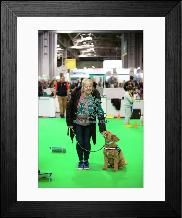 Framed Print : Have A Go Rally Framed Print : Have A Go Rally