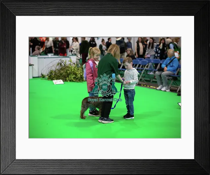Framed Print : Have A Go Rally Framed Print : Have A Go Rally