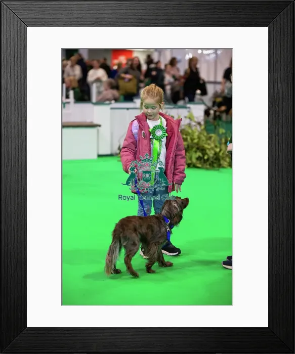 Framed Print : Have A Go Rally Framed Print : Have A Go Rally