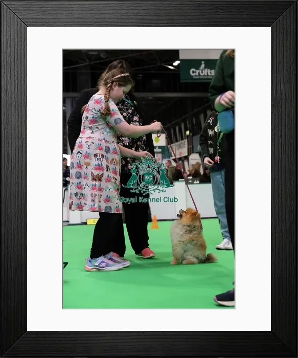 Framed Print : Have A Go Rally Framed Print : Have A Go Rally