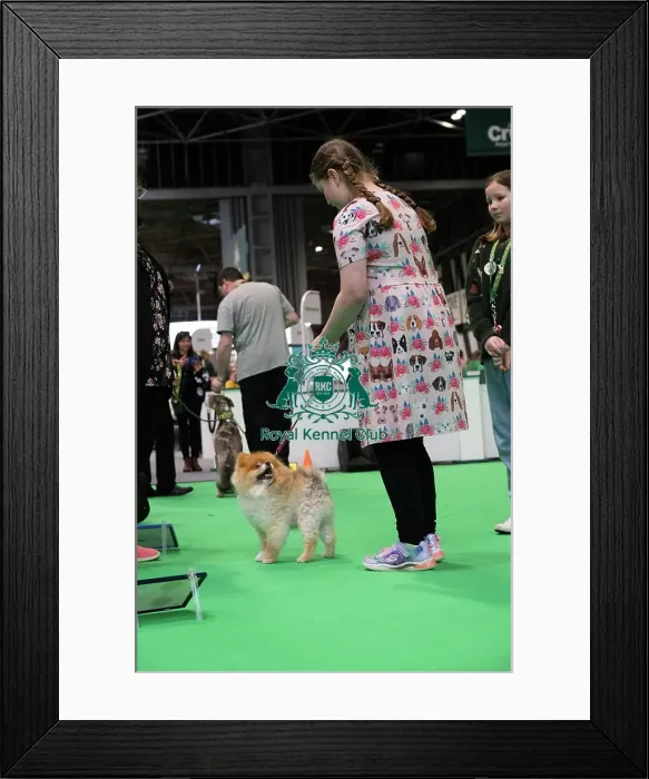Framed Print : Have A Go Rally Framed Print : Have A Go Rally