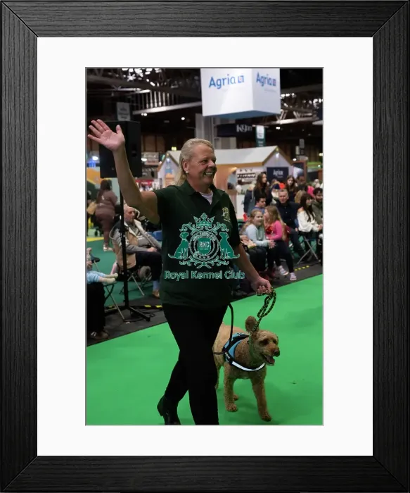 Framed Print : Have A Go Rally Framed Print : Have A Go Rally