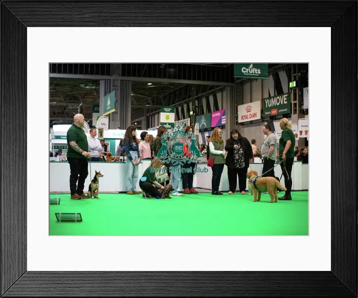 Framed Print : Have A Go Rally Framed Print : Have A Go Rally