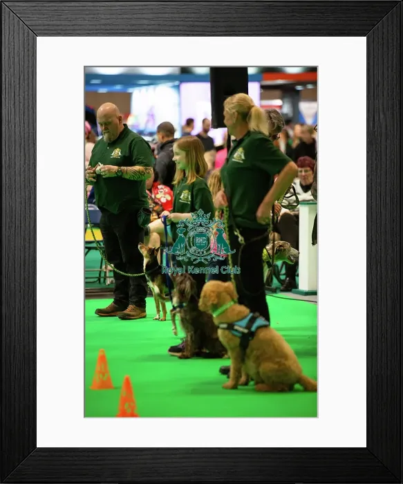 Framed Print : Have A Go Rally Framed Print : Have A Go Rally
