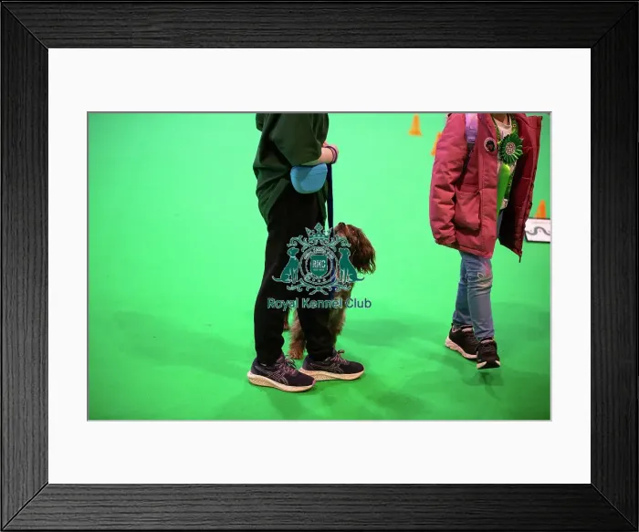 Framed Print : Have A Go Rally Framed Print : Have A Go Rally
