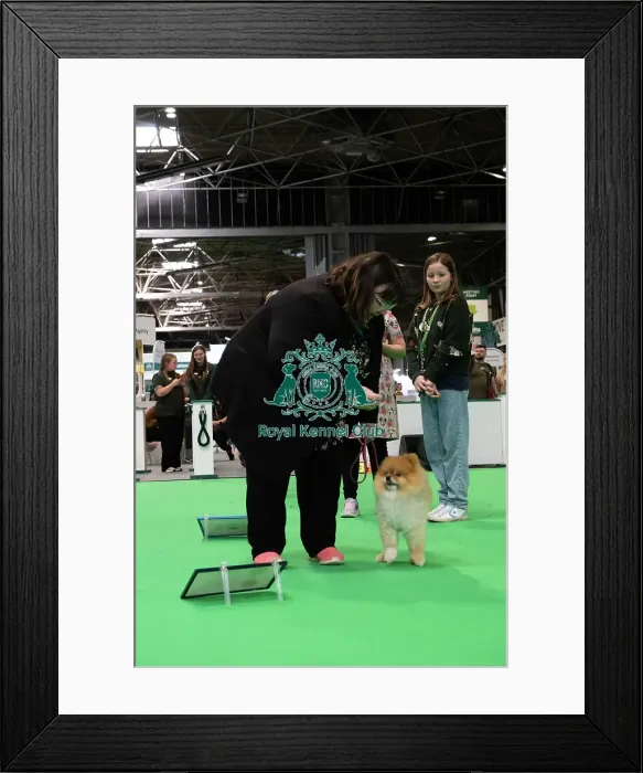 Framed Print : Have A Go Rally Framed Print : Have A Go Rally