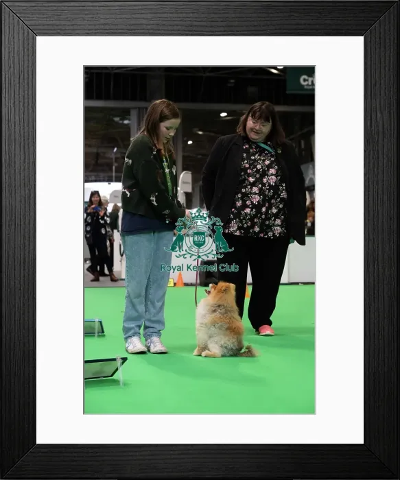 Framed Print : Have A Go Rally Framed Print : Have A Go Rally