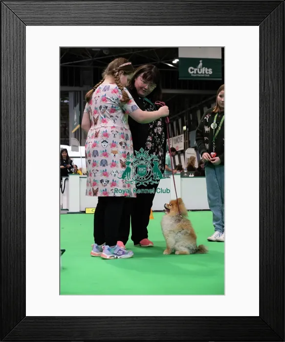 Framed Print : Have A Go Rally Framed Print : Have A Go Rally