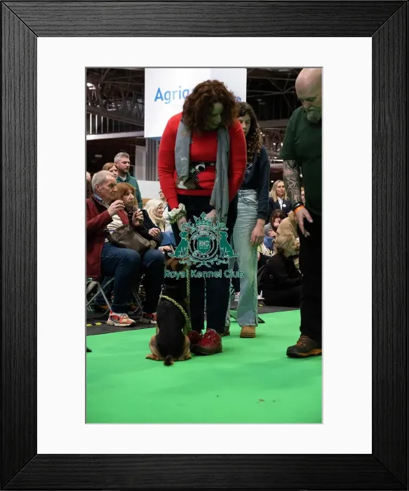 Framed Print : Have A Go Rally Framed Print : Have A Go Rally