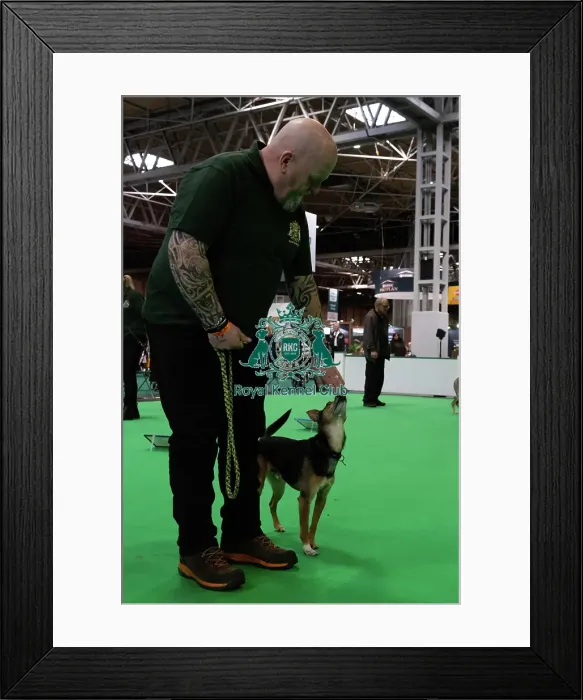 Framed Print : Have A Go Rally Framed Print : Have A Go Rally