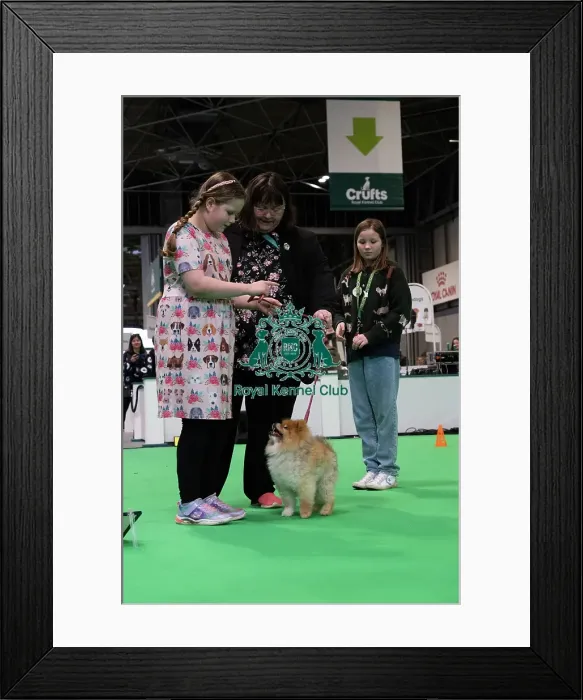Framed Print : Have A Go Rally Framed Print : Have A Go Rally