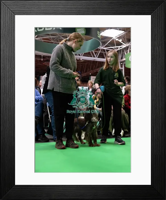 Framed Print : Have A Go Rally Framed Print : Have A Go Rally