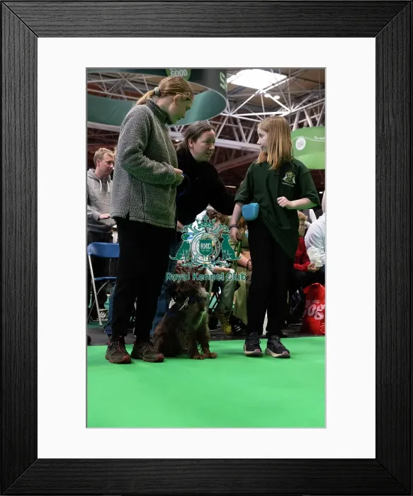 Framed Print : Have A Go Rally Framed Print : Have A Go Rally