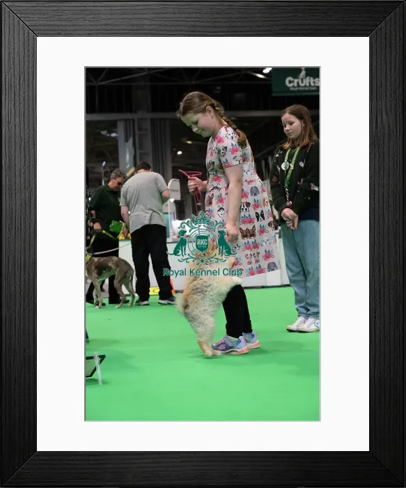Framed Print : Have A Go Rally Framed Print : Have A Go Rally