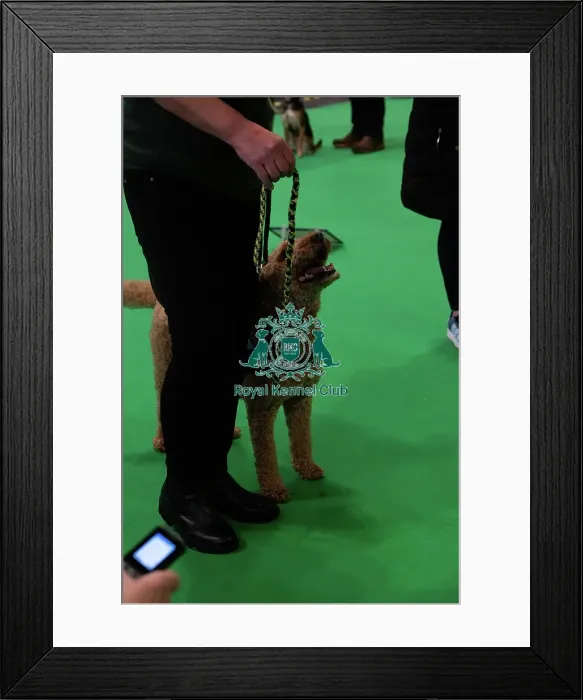 Framed Print : Have A Go Rally Framed Print : Have A Go Rally