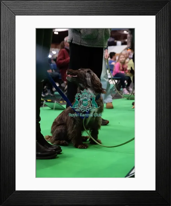 Framed Print : Have A Go Rally Framed Print : Have A Go Rally