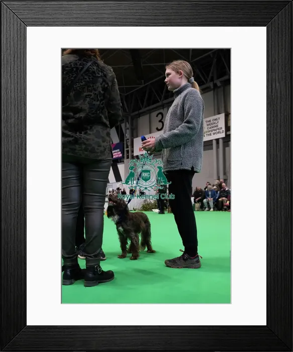 Framed Print : Have A Go Rally Framed Print : Have A Go Rally