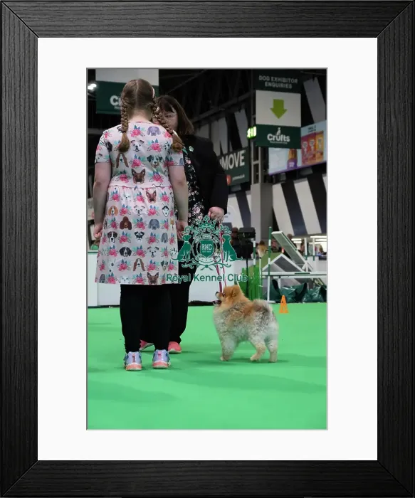 Framed Print : Have A Go Rally Framed Print : Have A Go Rally