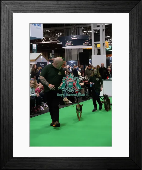Framed Print : Have A Go Rally Framed Print : Have A Go Rally