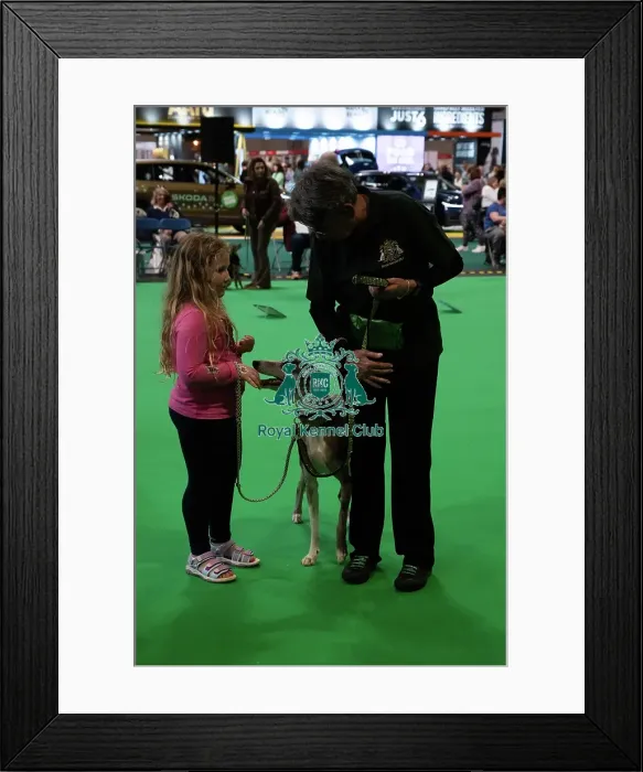 Framed Print : Have A Go Rally Framed Print : Have A Go Rally
