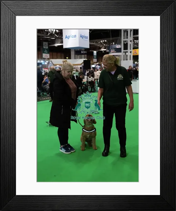 Framed Print : Have A Go Rally Framed Print : Have A Go Rally