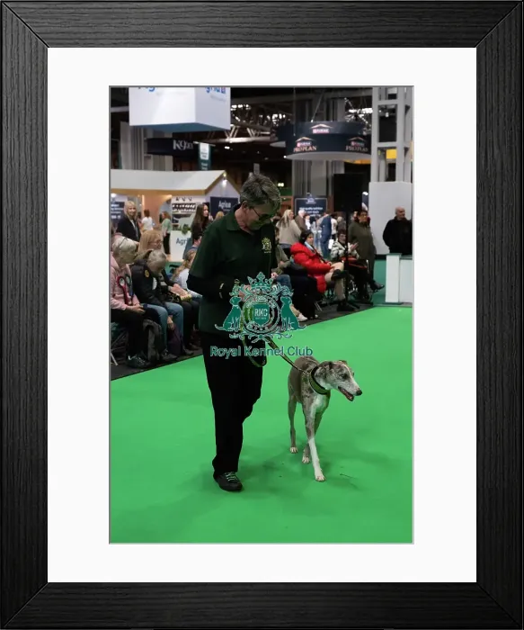 Framed Print : Have A Go Rally Framed Print : Have A Go Rally