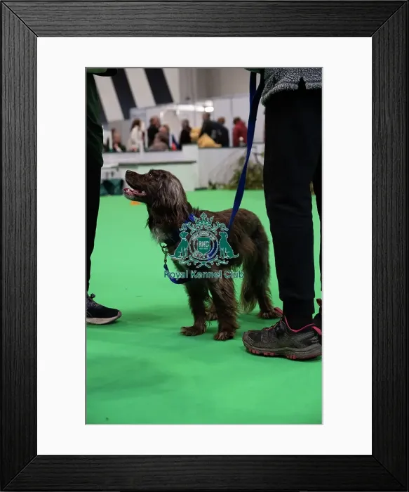 Framed Print : Have A Go Rally Framed Print : Have A Go Rally