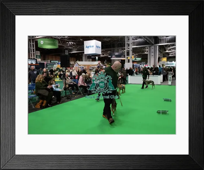 Framed Print : Have A Go Rally Framed Print : Have A Go Rally