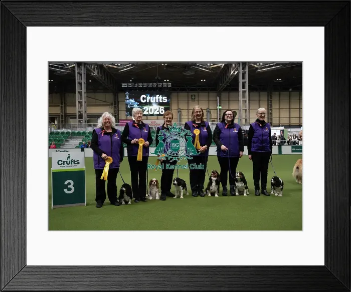 Framed Print : 3rd place Obreedience The Wagtails Framed Print : 3rd place Obreedience The Wagtails