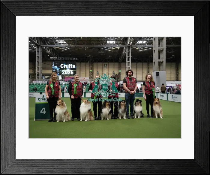 Framed Print : Obreedience 4th place Diamonds in the rough Framed Print : Obreedience 4th place Diamonds in the rough