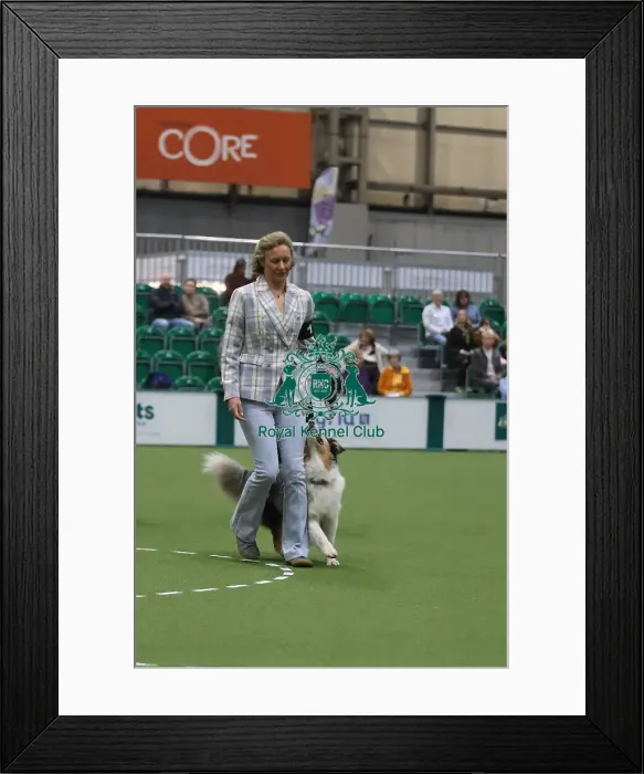 Framed Print : Crufts Obedience Championships 2026 Framed Print : Crufts Obedience Championships 2026