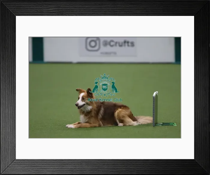 Framed Print : Sendaway Exercise Framed Print : Sendaway Exercise