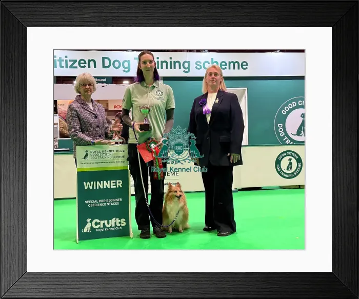 Framed Print : 2026 Crufts special Pre-Beginner Obedience stakes Final