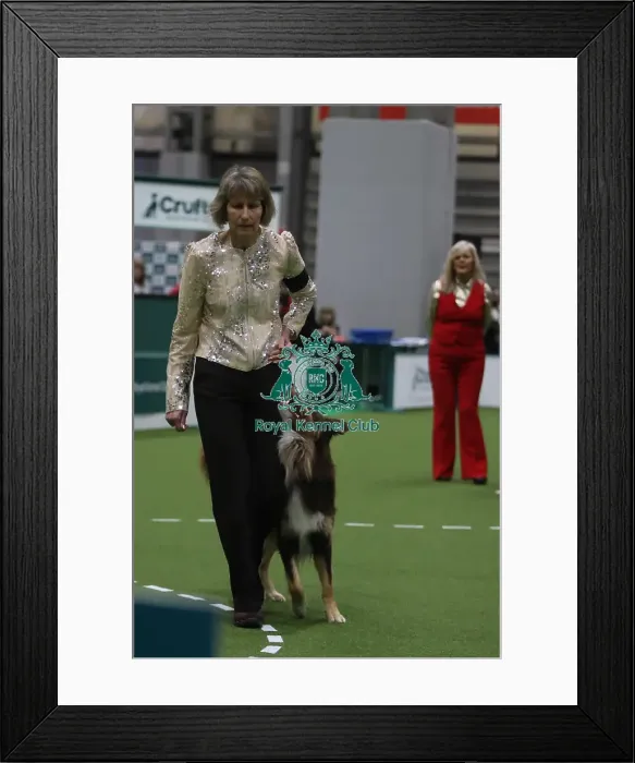 Framed Print : Dog Obedience Championships - Debbie Giddens & Jezzaddy Its One Look, Crufts 2026 Dog Obedience Championships - Debbie Giddens & Jezzaddy Its One Look, Crufts 2026 Framed Print : Dog Obedience Championships - Debbie Giddens & Jezzaddy Its One Look, Crufts 2026 Dog Obedience Championships - Debbie Giddens & Jezzaddy Its One Look, Crufts 2026