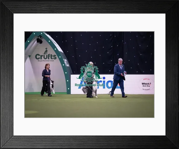 Framed Print : Obedience Champion Display