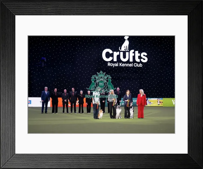 Framed Print : Obedience Champion Display