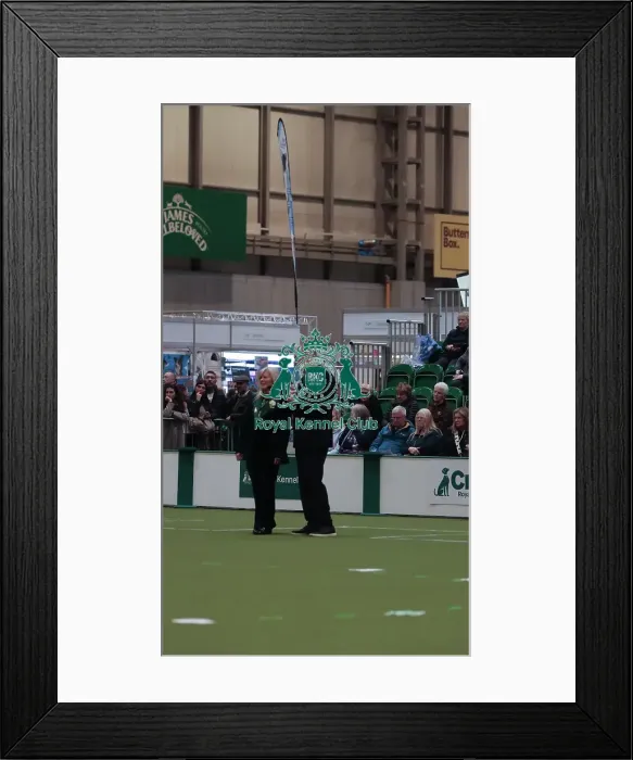 Framed Print : Crufts Obedience Championship Bitches Sunday 8th March 2026 Framed Print : Crufts Obedience Championship Bitches Sunday 8th March 2026