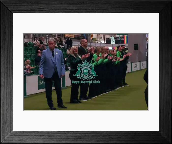 Framed Print : Crufts Obedience Championship Bitches Sunday 8th March 2026