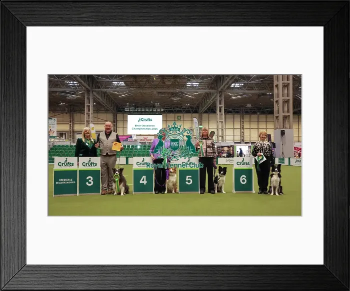 Framed Print : Crufts 2026 Obedience Championship Bitches Sunday 8th March