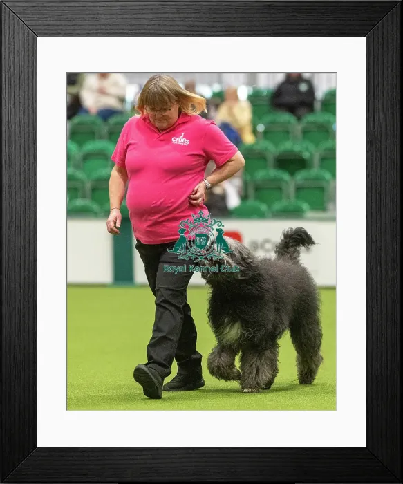 Framed Print : Obedience Class A - Kathy Woodgreaves & Arfa (South-East & East Anglia), Crufts 2026 Obedience Class A - Kathy Woodgreaves & Arfa (South-East & East Anglia) Framed Print : Obedience Class A - Kathy Woodgreaves & Arfa (South-East & East Anglia), Crufts 2026 Obedience Class A - Kathy Woodgreaves & Arfa (South-East & East Anglia)
