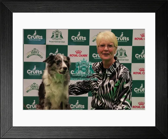 Framed Print : Obedience Championship Bitches Winner Podium- Crufts 2026 Obedience Championship Bitches Winner Podium- Crufts 2026 Framed Print : Obedience Championship Bitches Winner Podium- Crufts 2026 Obedience Championship Bitches Winner Podium- Crufts 2026